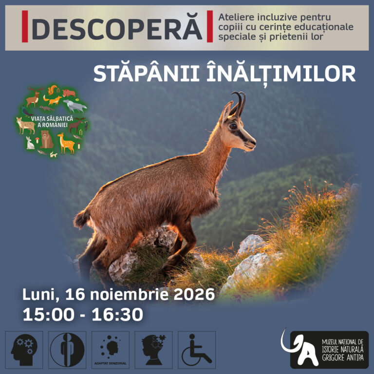 Descoperă viața sălbatică a României. Stăpânii înălțimilor