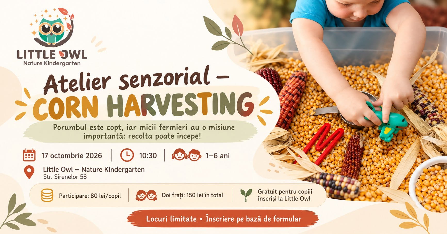 Atelier senzorial: Corn Harvesting