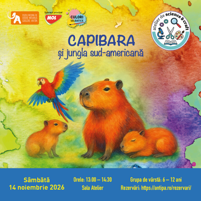 Culori sălbatice. Capibara și jungla sud-americană