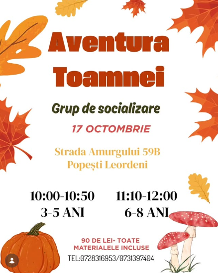 Aventura toamnei – Grup de socializare