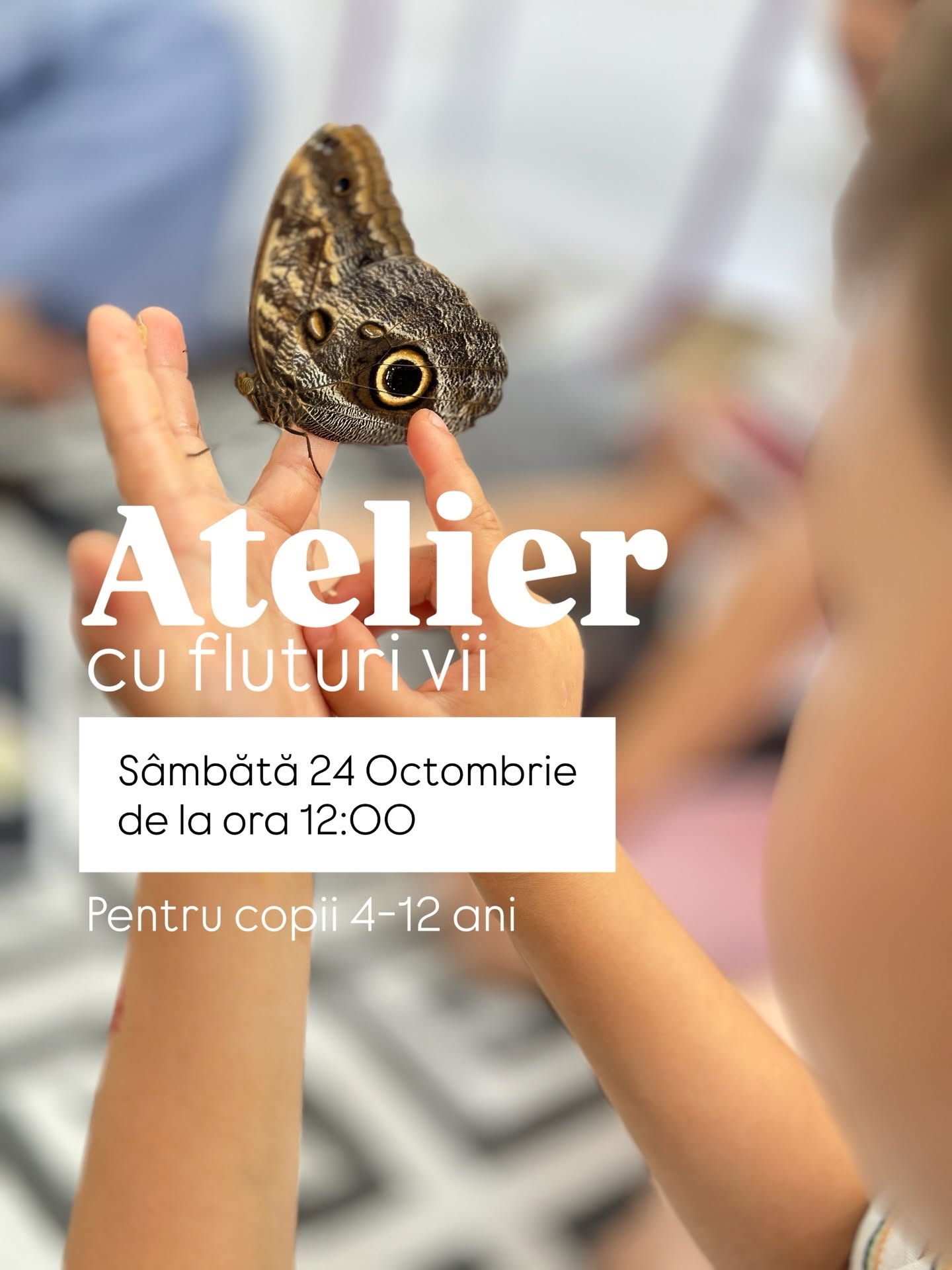 Atelier cu fluturii vii