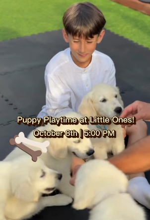 Puppy Playtime