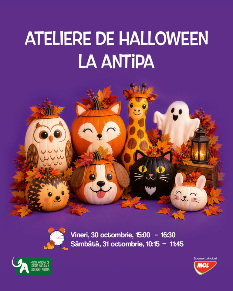 Atelier de Halloween la Antipa