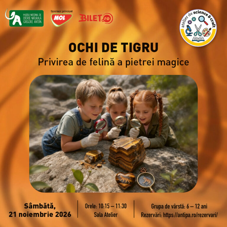 Ochi de Tigru – Privirea de Felină a Pietrei Magice