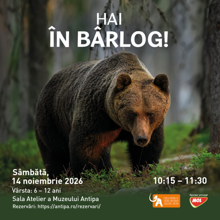 Hai în bârlog!